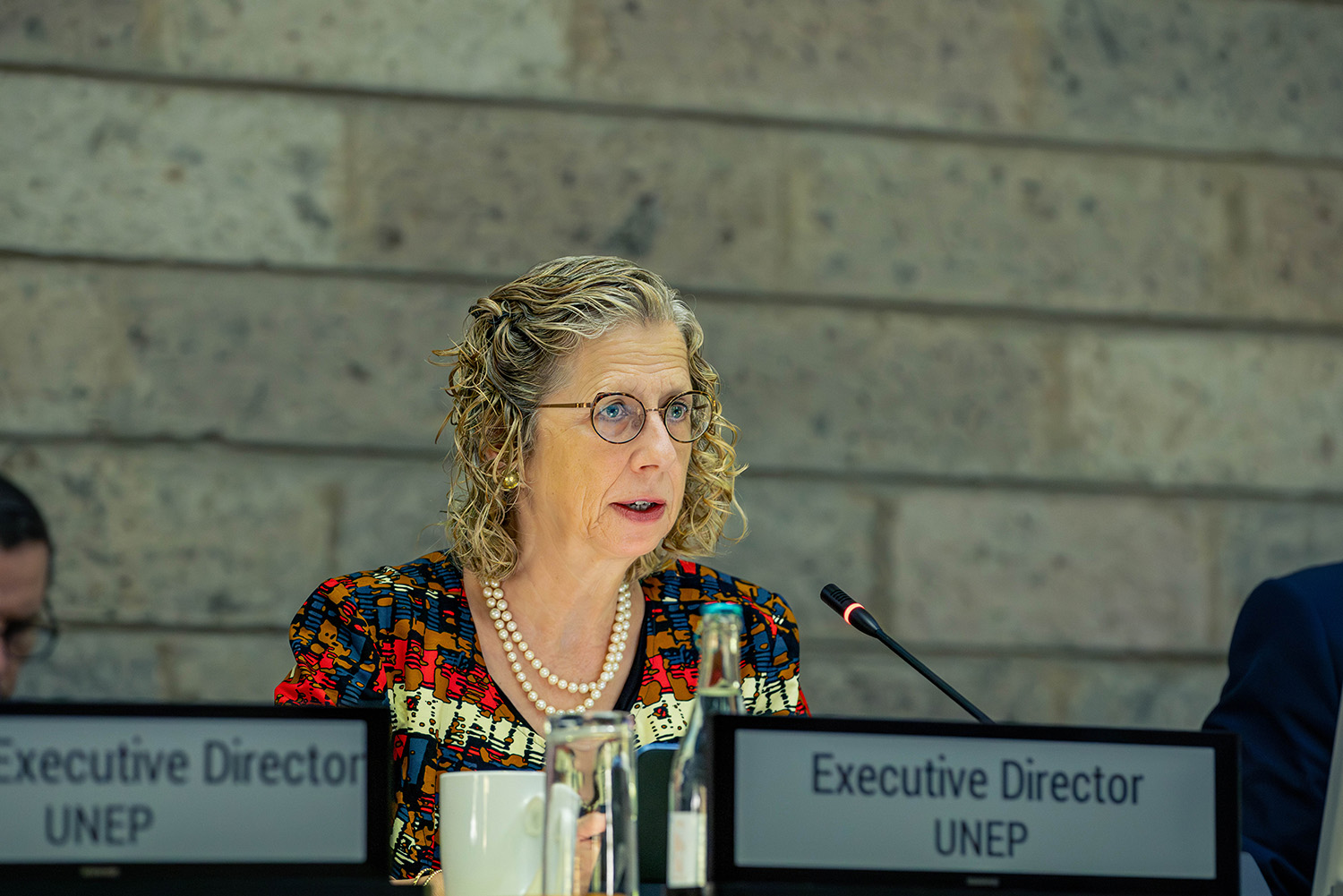 Inger Andersen addressing the Eleventh Annual Subcommittee meeting of the Committee of Permanent Representatives (CPR)